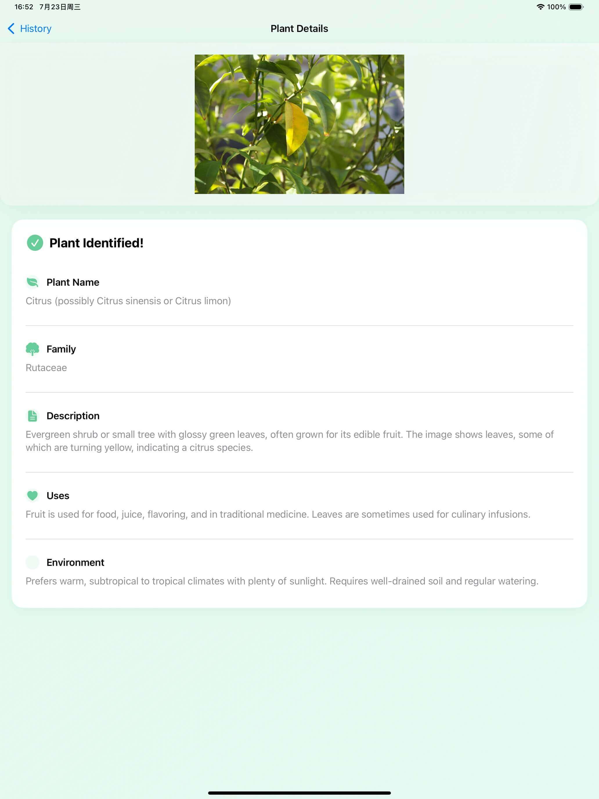 PlantSnap AI on iPad